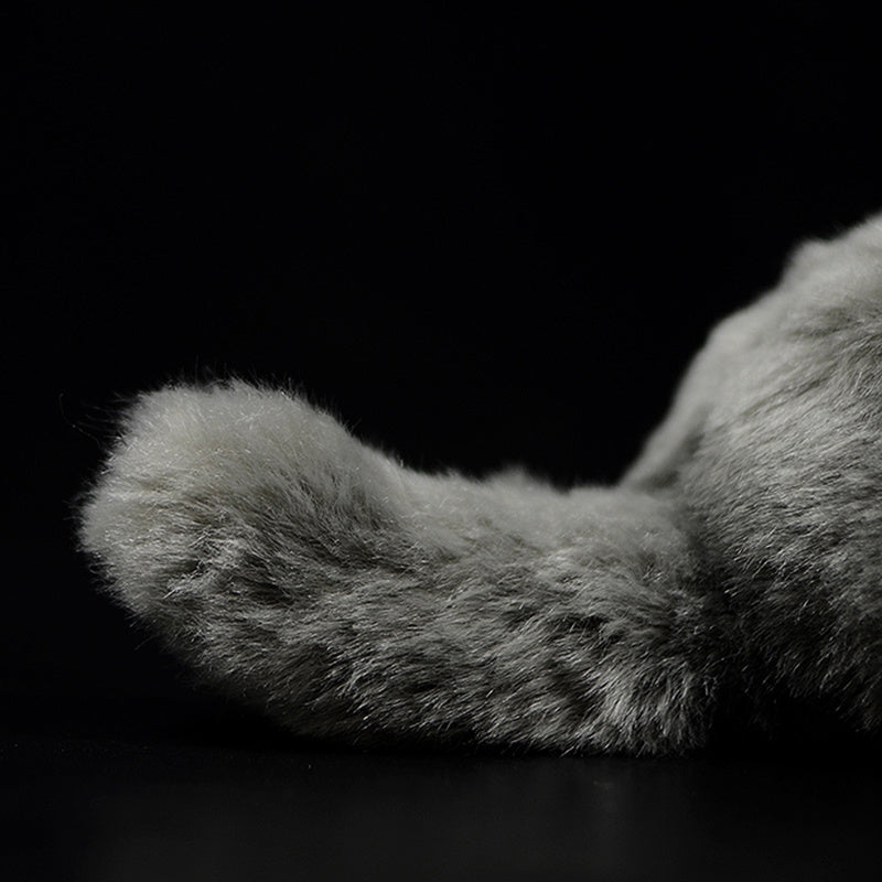 Cute Doll Simulation Cat Plush Toy